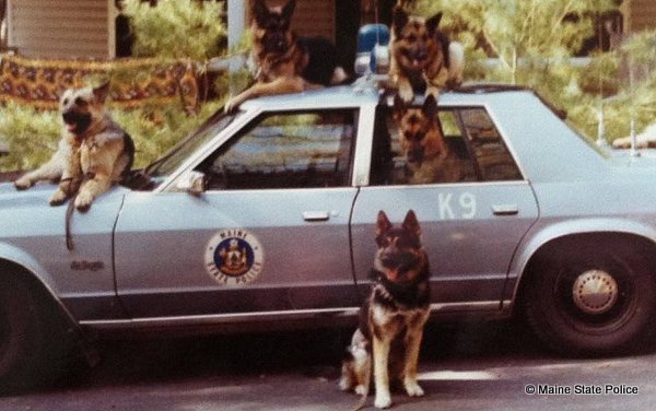 1981- K-9 Training Sebago Lake State Park, ME.